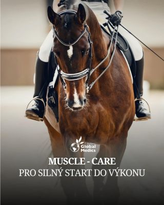 Síla začíná uvnitř🫶🐎 Podpoř výkon a regeneraci svého koně 👉 www.ernel.cz @klinika_hermanak @globalmedicscz #kun...