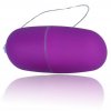 LOLO fialové vibrační vajíčko s ovladačem