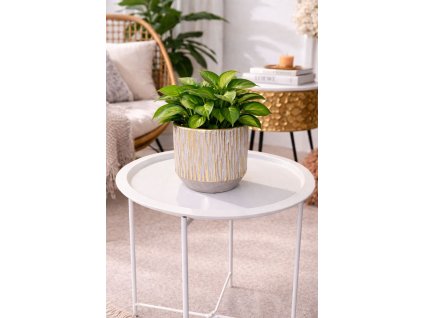 7ee188ce 19e3 4f48 a508 d2d96b79306a