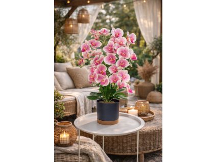 e3258a45 63a9 40d8 8b86 df59dc66383e