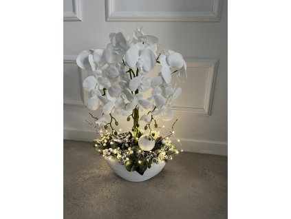 Vianočná orchidea maxi