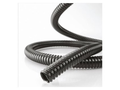 e6005b609156f0262793afc500b90068fc6d3574 300253 00 H 13 FAN thumbnail 2000px 72ppi (1)