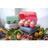 7186 EGGS TO GO MINI easter 6 800px
