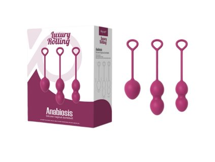 ARMONY ANABIOSIS VAGINAL DUMBBELL 3 LEVELS BURGUNDY3