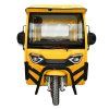 Vélo cargo électrique à trois roues Eroute Cargo TJ150 3000 W 80 Ah (2)