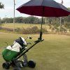 Scooter de golf électrique pliable Eroute GolfMaster (12)