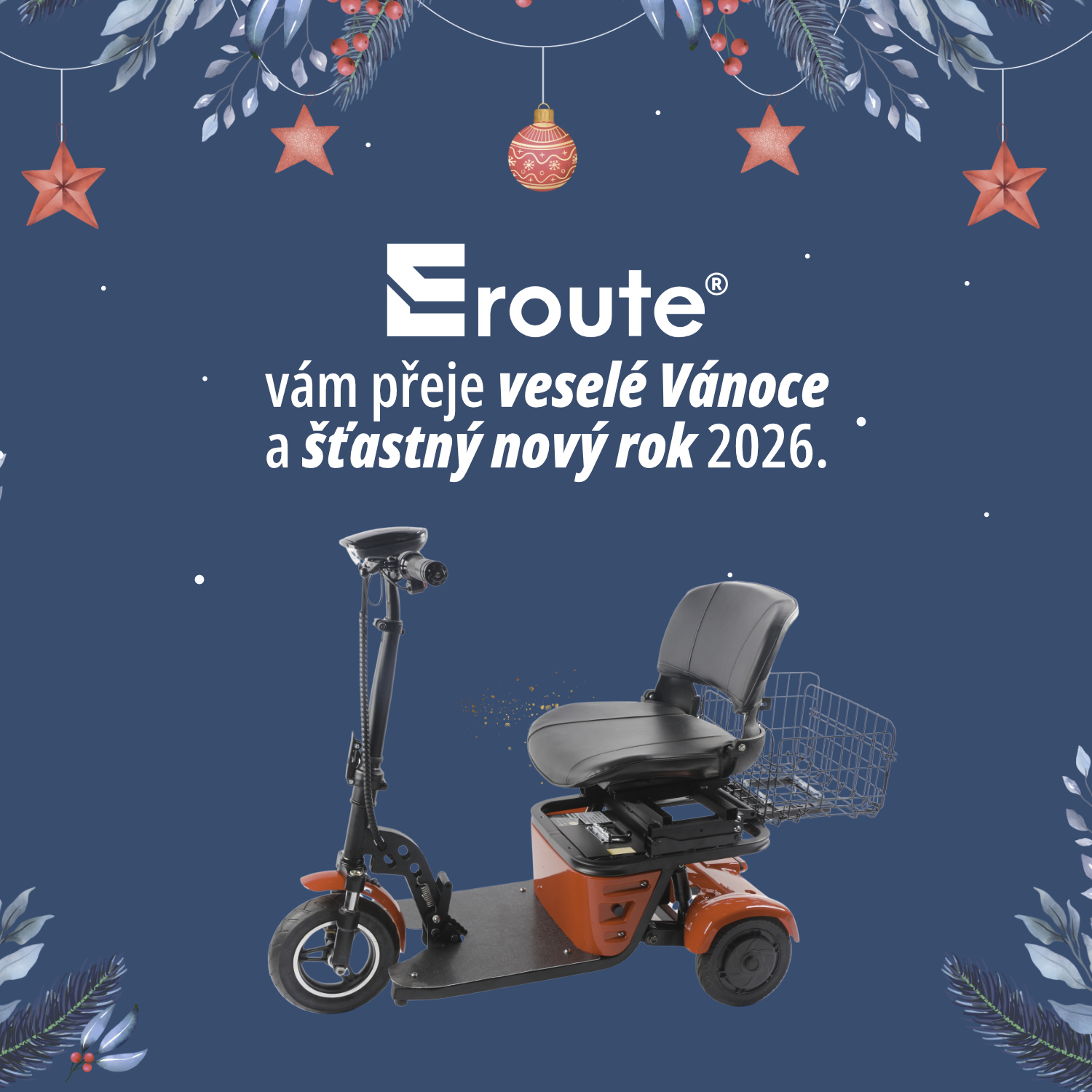 Naše poděkování a novoroční přání