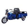 Triciclo eléctrico de carga sin conductor Eroute Cargo ET06, azul (1)