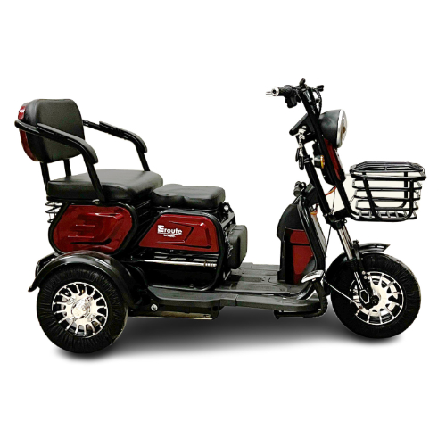 Cum de a alege un scaun cu rotile electrice?