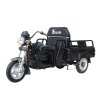 Elektrisches Lastendreirad ohne Führerschein Eroute Cargo ET06, schwarz (1)