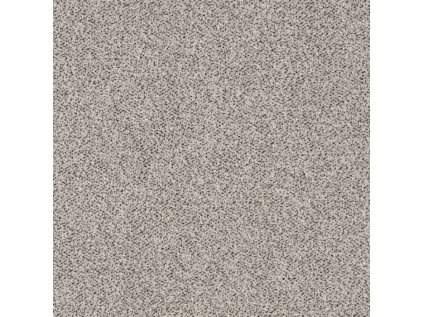 Metrážový koberec BUSINESS PRO FORTUNA 7850(šíře role 5M )
