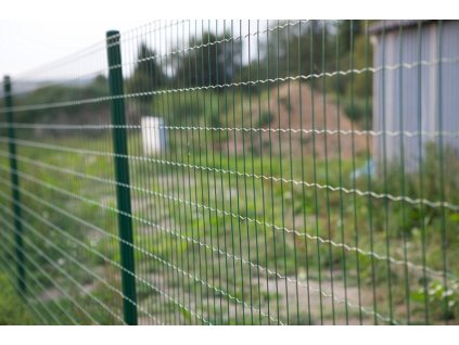 1044 geschwei tes grunes geflecht euro 120 cm