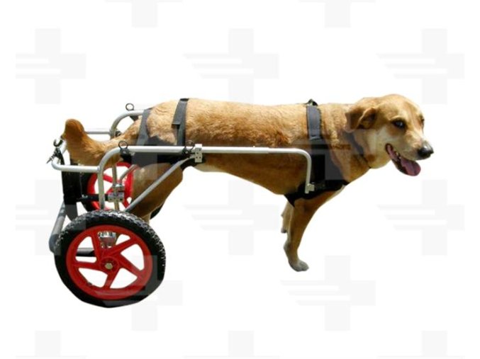 OBC015667 2 1519722505