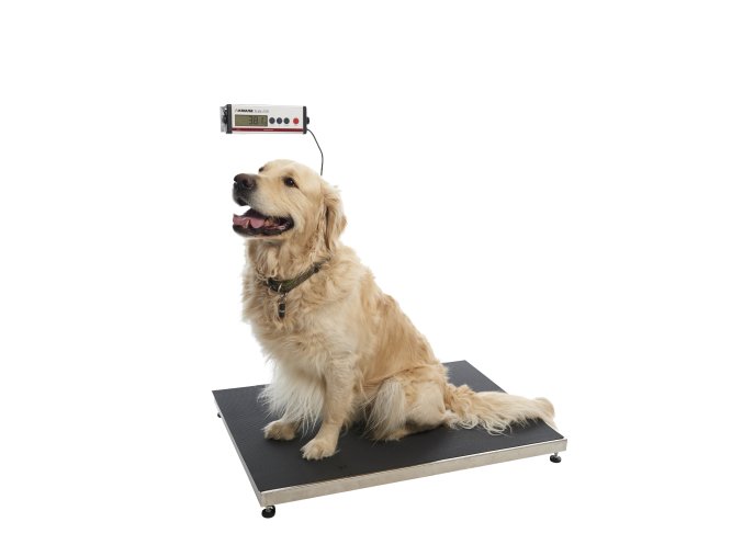 Profi-Digitalwaage Kruuse "KRUUSE Walk-on", 90 x 55 cm, bis 250 kg