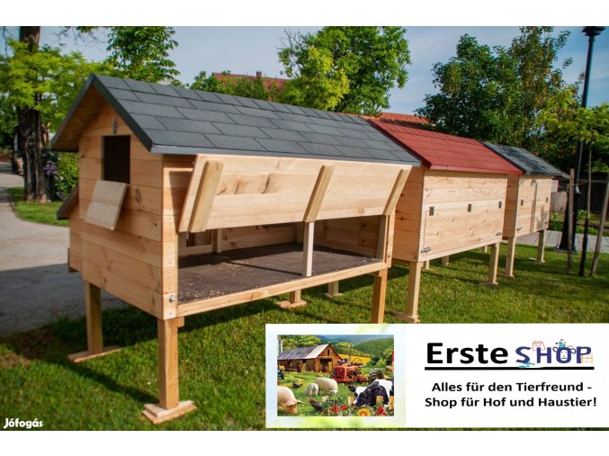 Polish 20231025 021339578