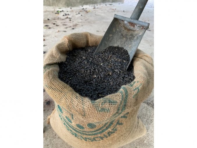 Sonnenblumen-kerne schwarz 4kg Jute