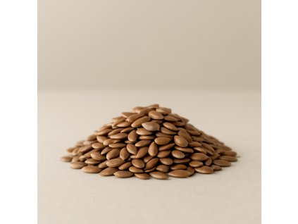 20251105 1127 Natural Flax Seeds Display simple compose 01k99rwsewfnwadvym9atc738m