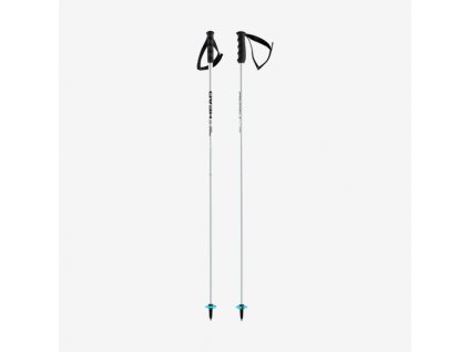 Lyžiarske palice WORLDCUP SL Poles white/black/speed blue