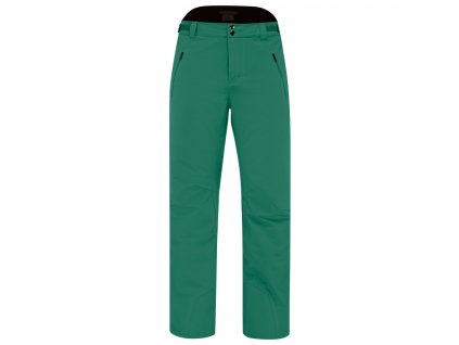 Lyžiarske nohavice Head Summit Pants Men FG