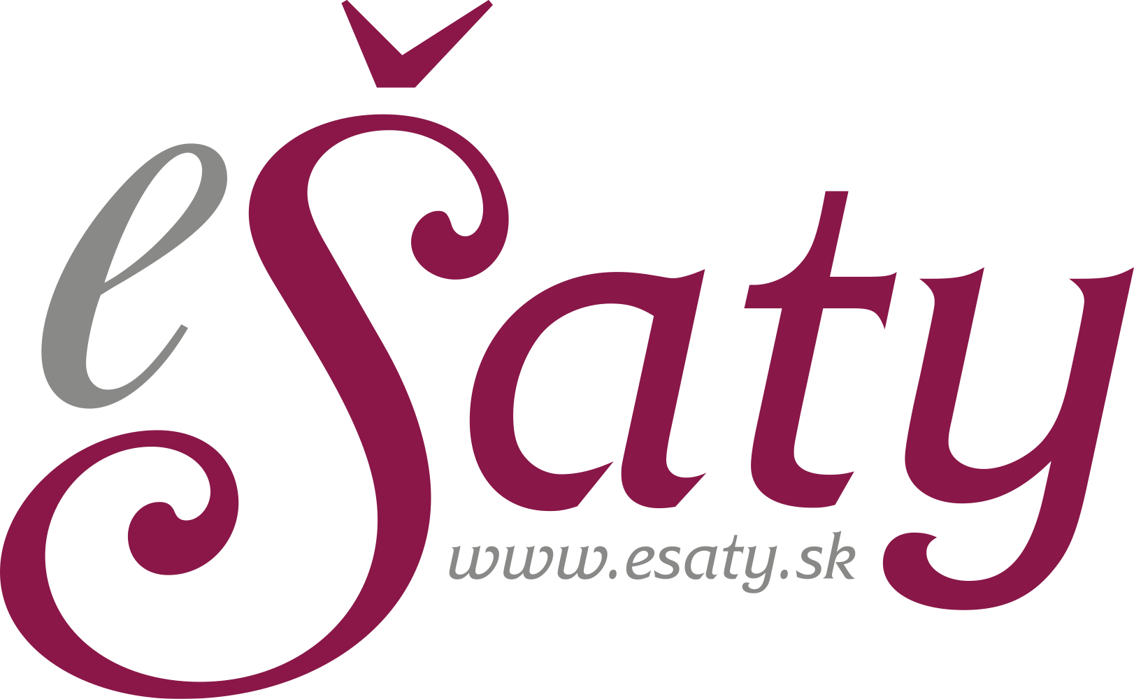 eSaty_logo