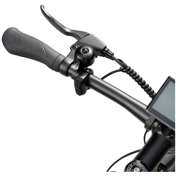 Imagine produs - Bicicletă electrică Eleglide T1