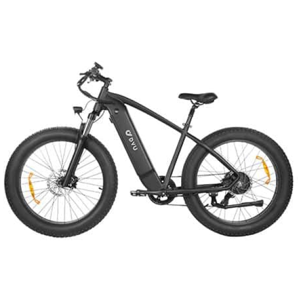 Imagine produs - Bicicletă electrică DYU KING 750