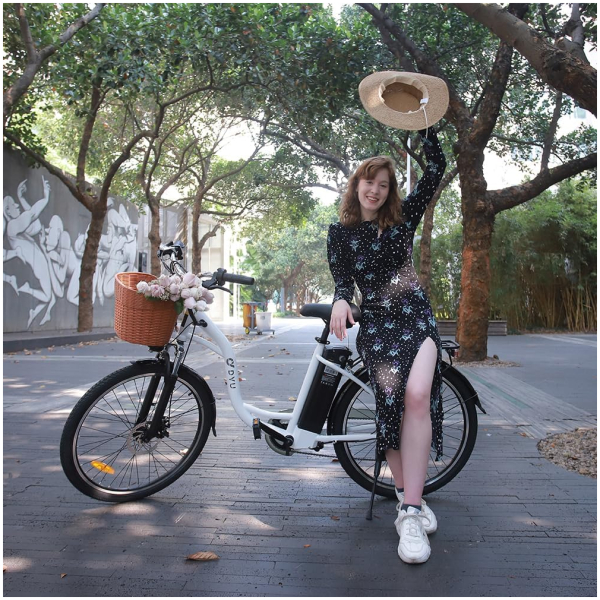 Imagine produs - Bicicletă electrică DYU C6