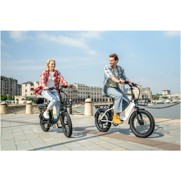 Imagine produs - Bicicletă electrică DYU C9