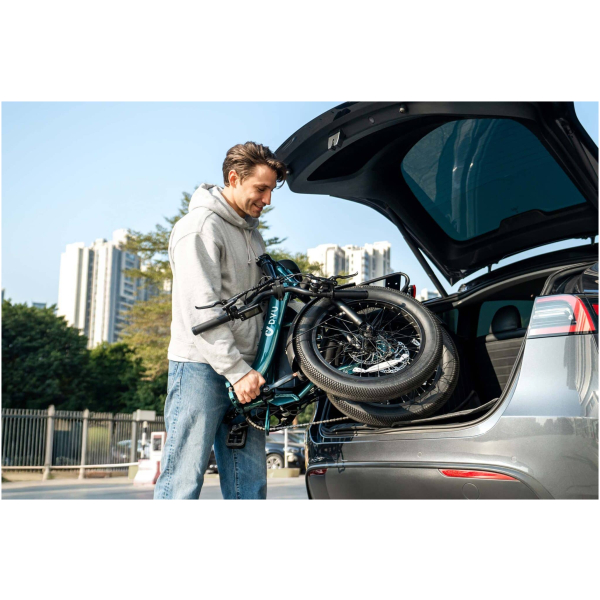 Imagine produs - Bicicletă electrică DYU C9