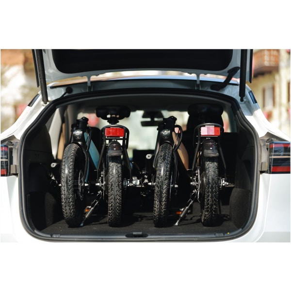 Imagine produs - Bicicletă electrică DYU C2