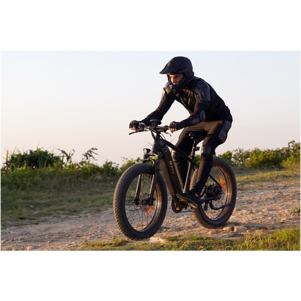 Imagine produs - Bicicletă electrică DYU KING 750