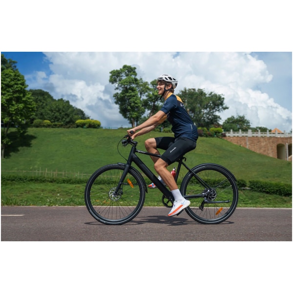Imagine produs - Bicicletă electrică DYU Stroll 1