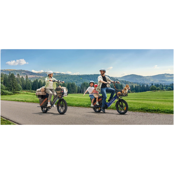 Imagine produs - Bicicletă electrică Engwe LE20 cu o singură baterie
