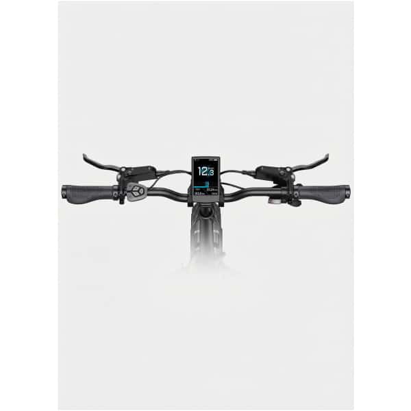 Imagine produs - Bicicletă electrică Engwe L20 3.0 Pro