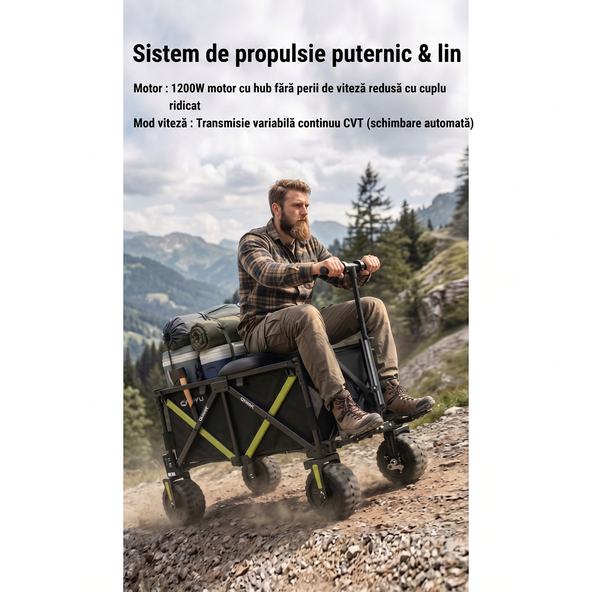 Imagine produs - Bicicletă electrică DYU CampX01
