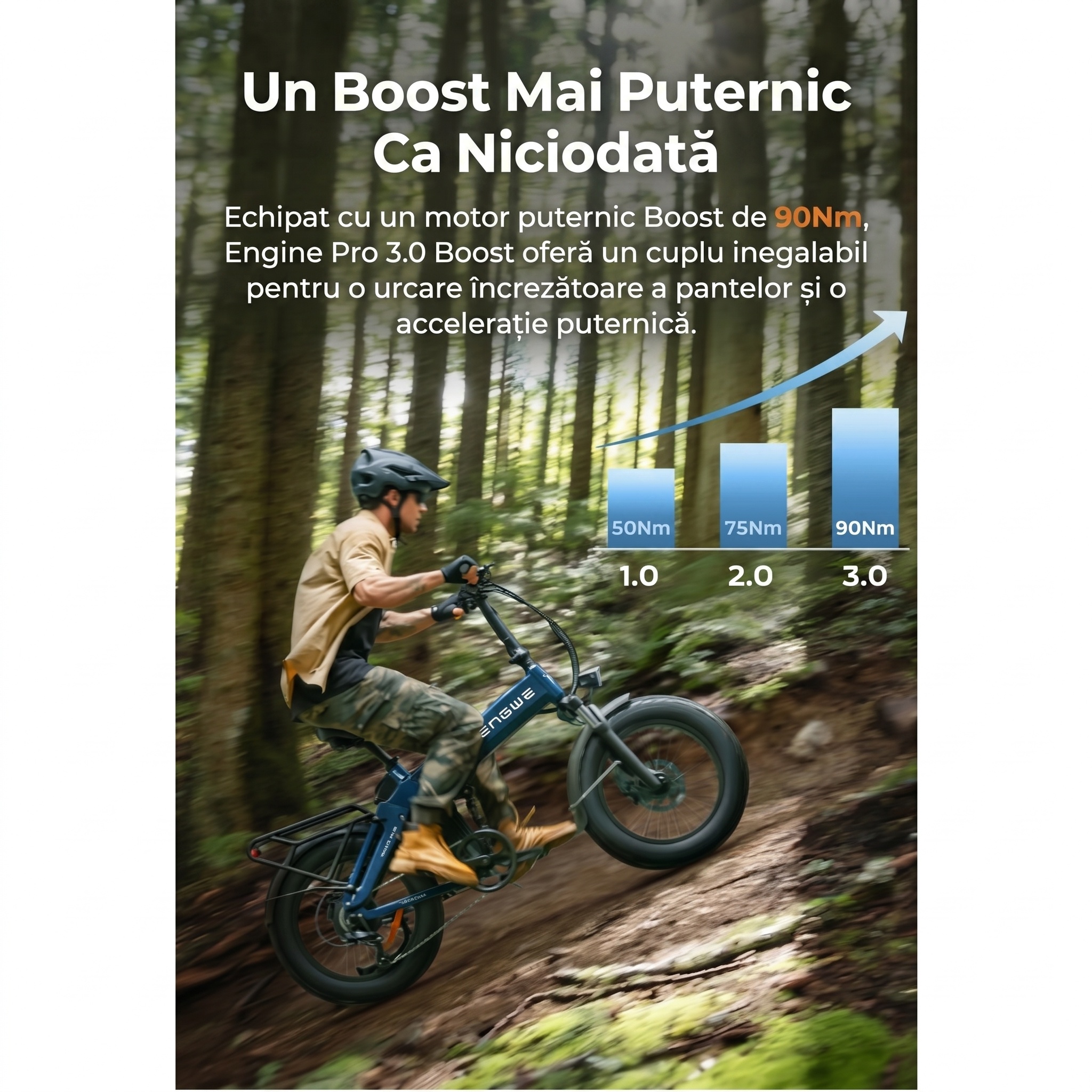 Imagine produs - Bicicletă electrică Engwe Engine Pro 3.0 Boost