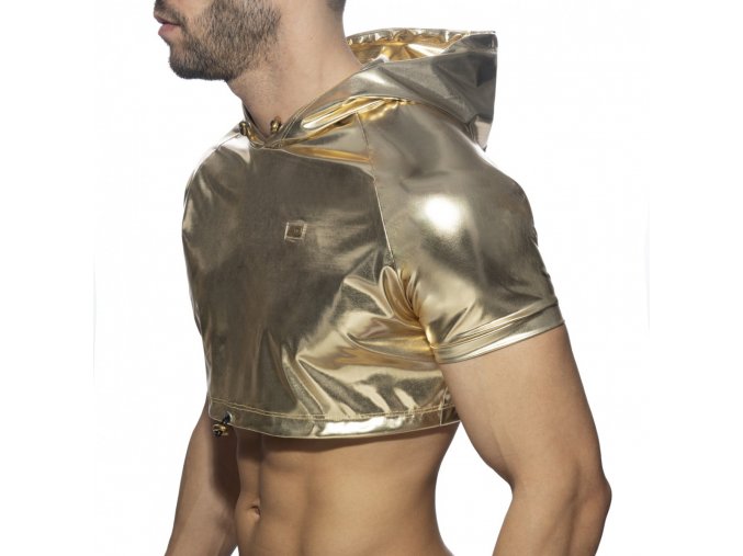 gold silver croptop