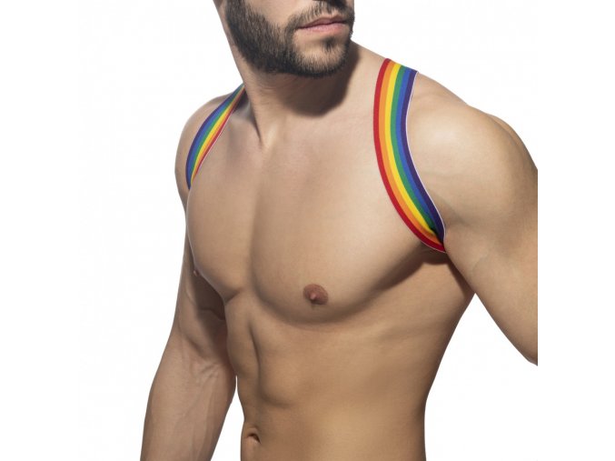 rainbow spider harness