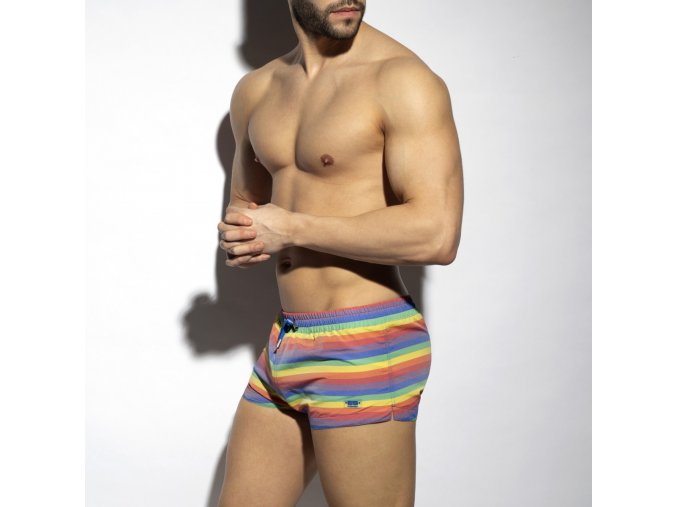 multi stripes swim shorts