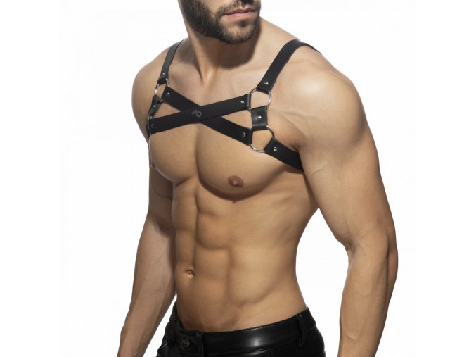 x cross leather harness