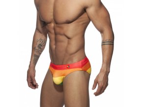 ads220 rainbow ad bikini (1)