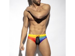 rainbow complex swim brief