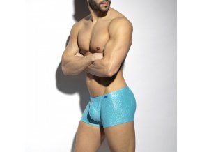 glitter swim trunk (9)