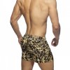 ads205 versailles swim short (1)