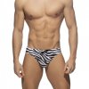 zebra swim brief (2)