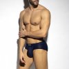 bee nest brief (3)