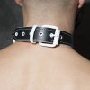adf44 leather collar (3)