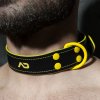 adf44 leather collar (5)