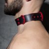 adf44 leather collar (12)