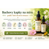 Bachovy kapky na míru podle stavu